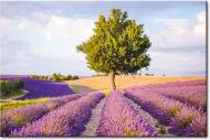 Картина Прованс 80x120 см YS-Art Картина Прованс 80x120 см YS-Art