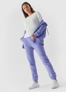Брюки 4F TROUSERS CAS F475 4FAW23TTROF475-32S р. M голубой Брюки 4F TROUSERS CAS F475 4FAW23TTROF475-32S р. M голубой