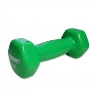 Гантель EasyFit виниловое покрытие 1 кг салатовый