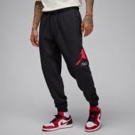 Штани Jordan J ESS FLC BASELINE PANT FD7345-013 р. M чорний