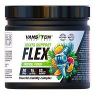 Амінокислотна суміш Vansiton FLEX joints support тропічні фрукти 300 г 20 порц.