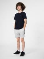 Шорты 4F 4FJSS23TSHOM049-27M р. 164 серый