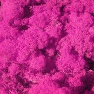 Мох стабилизированный ягель неочищенный цикламен 250 г