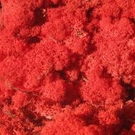 Мох стабилизированный ягель неочищенный красный 150 г