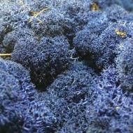 Мох стабилизированный ягель неочищенный лазурный 150 г