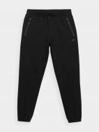 Брюки 4F 4FAW21TTROM001-20S р. S черный