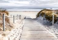 Репродукция Морская природа 100x75 см Styler