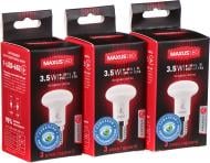 Лампа світлодіодна Maxus Sakura 3 шт./уп. 3.5 Вт R39 матова E14 220 В 4100 К 3-LED-652