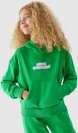 Джемпер 4F SWEATSHIRT F645 4FJAW23TSWSF645-41S зеленый