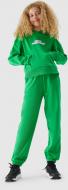 Брюки 4F TROUSERS CAS F426 4FJAW23TTROF426-41S р. 152 зеленый
