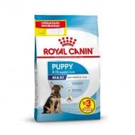Корм сухой Royal Canin Maxi Puppy 12кг+3кг в подарок 15 кг