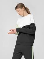 Джемпер 4F H4L22-BLD013-22S р.L зелений Джемпер 4F H4L22-BLD013-22S р.L зелений