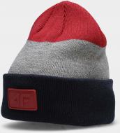 Шапка 4F 4FJAW21ACAPM015-62S р.one size разноцветный