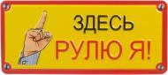 Табличка сувенирная Здесь рулю я