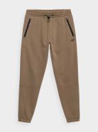 Штани 4F 4FAW21TTROM001-83S р. 2XL коричневий