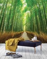 Фотообои AdaWall MONETA VOL.2 M1047-3 280x315 см 8,82 кв.м Фотообои AdaWall MONETA VOL.2 M1047-3 280x315 см 8,82 кв.м