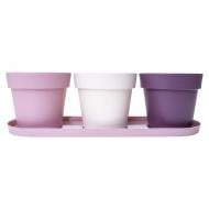 Набор горшков пластиковых Алеана Огородик на подоконнике 3 шт. круглый белая роза