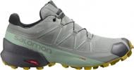 Кросівки жіночі Salomon SPEEDCROSS 5 GTX W L41612800 р.36 сірі