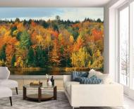 Фотообои AdaWall MONETA VOL.2 M1052-5 280x525 см 14,7 кв.м