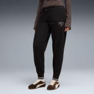 Брюки Puma Class Comfort Sweatpants Tr Cl 69187901 р. M черный