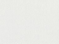 Обои под покраску Славянские обои V.I.P Class plus Вьюга 2596-01 1,06x25 м