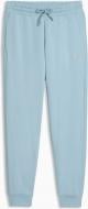 Брюки Puma Ess Elevated Sweatpants Tr Cl 69185847 р. XL голубой