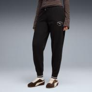 Брюки Puma Class Comfort Sweatpants Tr Cl 69187901 р. XS черный