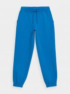 Штани 4F 4FAW21TTROF019-33S р. XS блакитно-синій