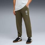 Брюки Puma MCFC FtblCulture Sweat Pants 78588307 р. 2XL разноцветный