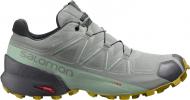Кросівки жіночі Salomon SPEEDCROSS 5 GTX W L41612800 р.40 2/3 сірі
