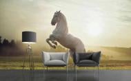 Фотообои AdaWall MONETA POSTER M802-4 280x420 см 11,76 кв.м