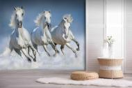 Фотообои AdaWall MONETA POSTER M803-4 280x420 см 11,76 кв.м