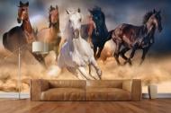 Фотообои AdaWall MONETA VOL.2 M804-3 280x315 см 8,82 кв.м