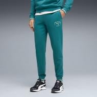 Брюки Puma Class Graphic Sweatpants Tr Cl 69222941 р. L зеленый