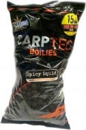 Бойлы Dynamite Baits CarpTec Spicy Squid 2000 г специи DY1157