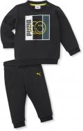 Спортивный костюм Puma PUMA X SW MINICAT CREW JOGGER TR 67035501 черный