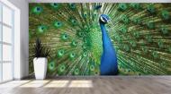 Фотообои AdaWall MONETA POSTER M809-4 280x420 см 11,76 кв.м