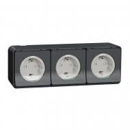 Розетка с заземлением Schneider Electric Mureva Styl IP55 черный MUR36038