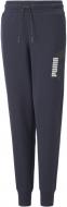 Брюки Puma ALPHA SWEATPANTS FL B 67010843 р. 140 черный