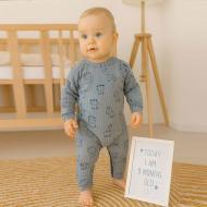 Ромпер-реглан для мальчика Blanka Животные р.74-80 синий 110834