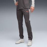 Брюки Puma INDIVIDUALLIGA TRAINING PANTS 66057201 р. M серый Брюки Puma INDIVIDUALLIGA TRAINING PANTS 66057201 р. M серый