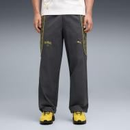 Брюки Puma PUMA X POKEMON PUMATECH-X Relaxed Track Pants WV 63491776 р. S серый