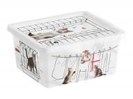 Ящик для зберігання KIS 247176 Pets Collectoin XXS 2 л різнокольоровий 100x200x170 мм