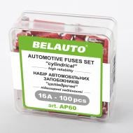 Предохранители BELAUTO стандарт AP60, 16А, 100 шт. Предохранители BELAUTO стандарт AP60, 16А, 100 шт.