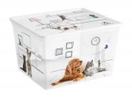 Ящик для зберігання KIS 247160 Pets Collectoin Cube 27 л різнокольоровий 250x340x400 мм