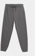 Брюки Outhorn TROUSERS CAS F478 OTHAW23TTROF478-46S р. S зеленый