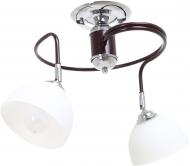 Світильник стельовий Accento lighting Alsace 2x60 Вт E27 хром/чорний