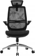 Кресло офисное Sihoo M59AS Mesh Black черный