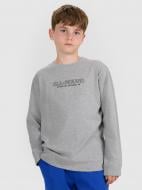 Футболка 4F 4FJWAW25TLONM485-24M р.140 серый