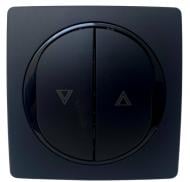 Выключатель для жалюзи кнопочный Aling-Conel Eon без подсветки черный матовый E6075.E1